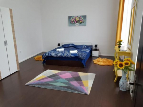 Apartament 12 Central